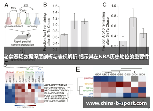 老詹赛场数据深度剖析与表现解析 揭示其在NBA历史地位的重要性 老詹赛场数据深度剖析与表现解析 揭示其在NBA历史地位的重要性