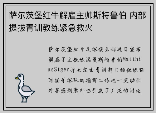 萨尔茨堡红牛解雇主帅斯特鲁伯 内部提拔青训教练紧急救火 萨尔茨堡红牛解雇主帅斯特鲁伯 内部提拔青训教练紧急救火
