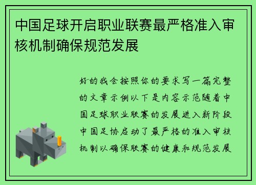 中国足球开启职业联赛最严格准入审核机制确保规范发展